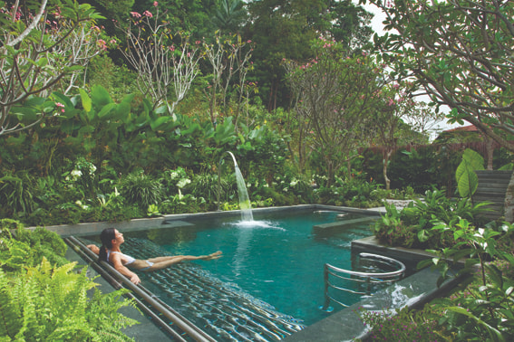 Outdoor pool surrounded by lush vegetation.